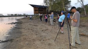 course for beginner